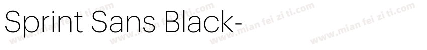 Sprint Sans Black字体转换